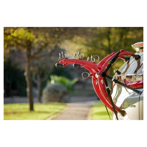 Saris bones top ex 3